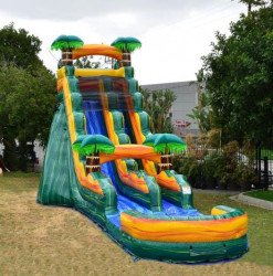 PALM TREE SLIDE (DRY)