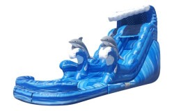 DOLPHIN WAVES WATER SLIDE